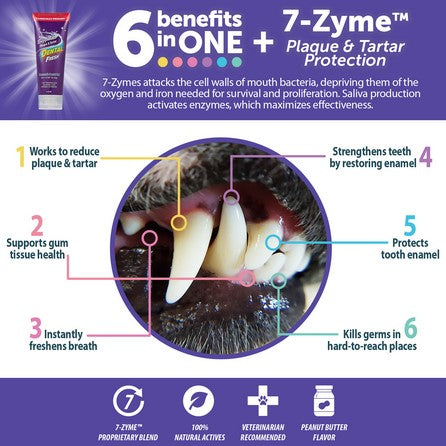 Dental Fresh Enzymatic Plaque & Tartar Dental Gel 71ml