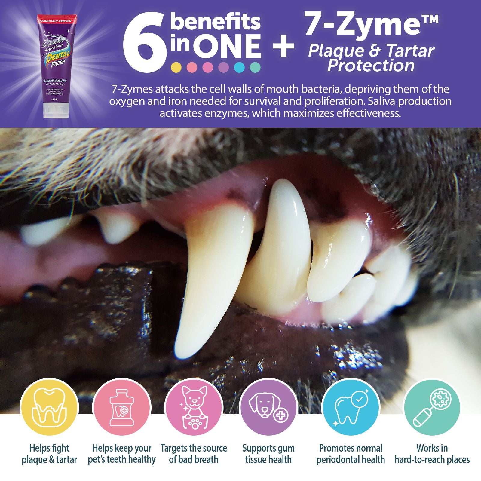 Dental Fresh Enzymatic Plaque & Tartar Dental Gel With Finger