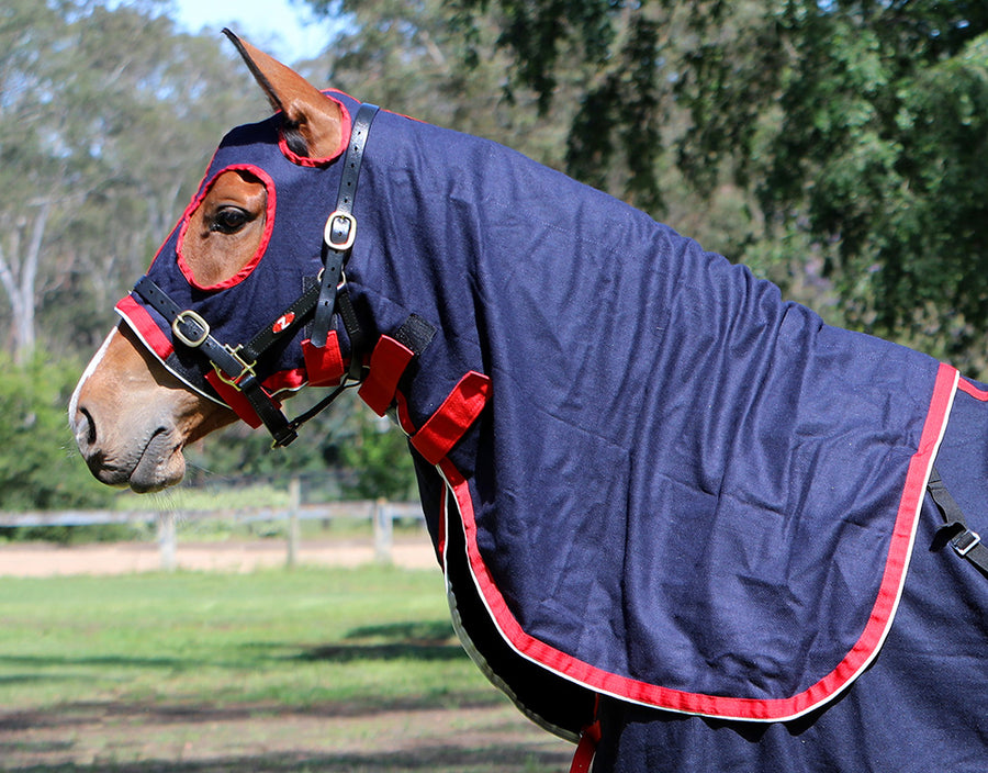 Wool Stadium Hood Zilco Navy [:pony]