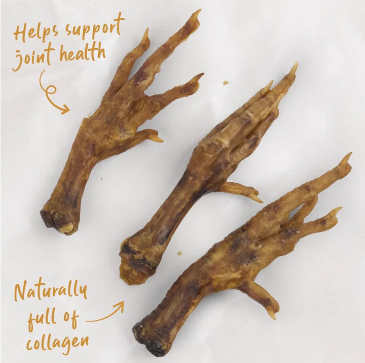 Kazoo Treat Dog Prime Cuts Chicken Feet 500gm