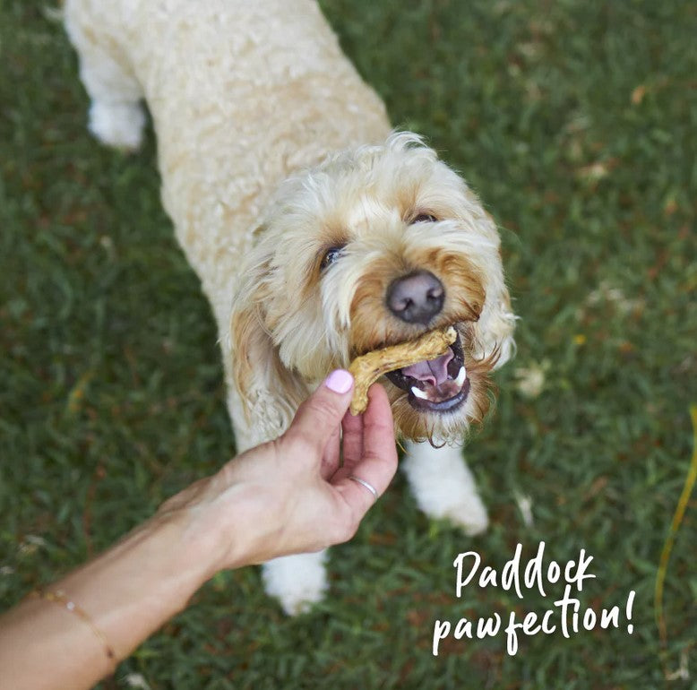 Kazoo Treat Dog Prime Cuts Chicken Necks 500gm
