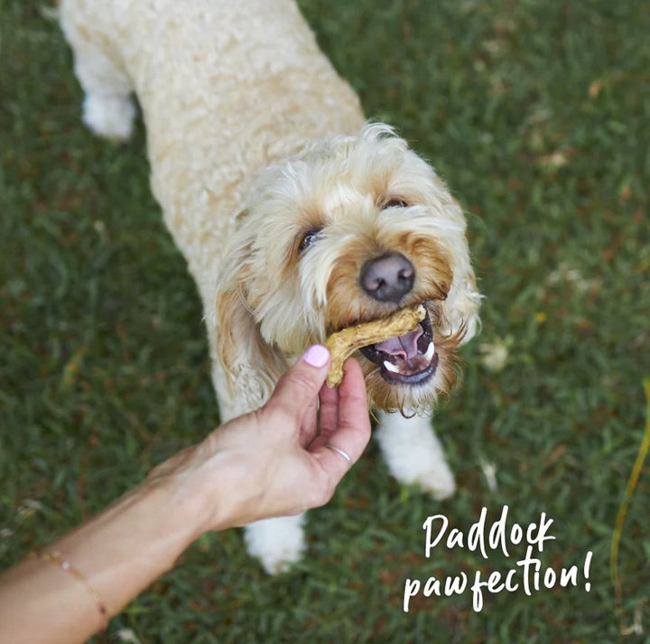 Kazoo Treat Dog Prime Cuts Chicken Necks 500gm