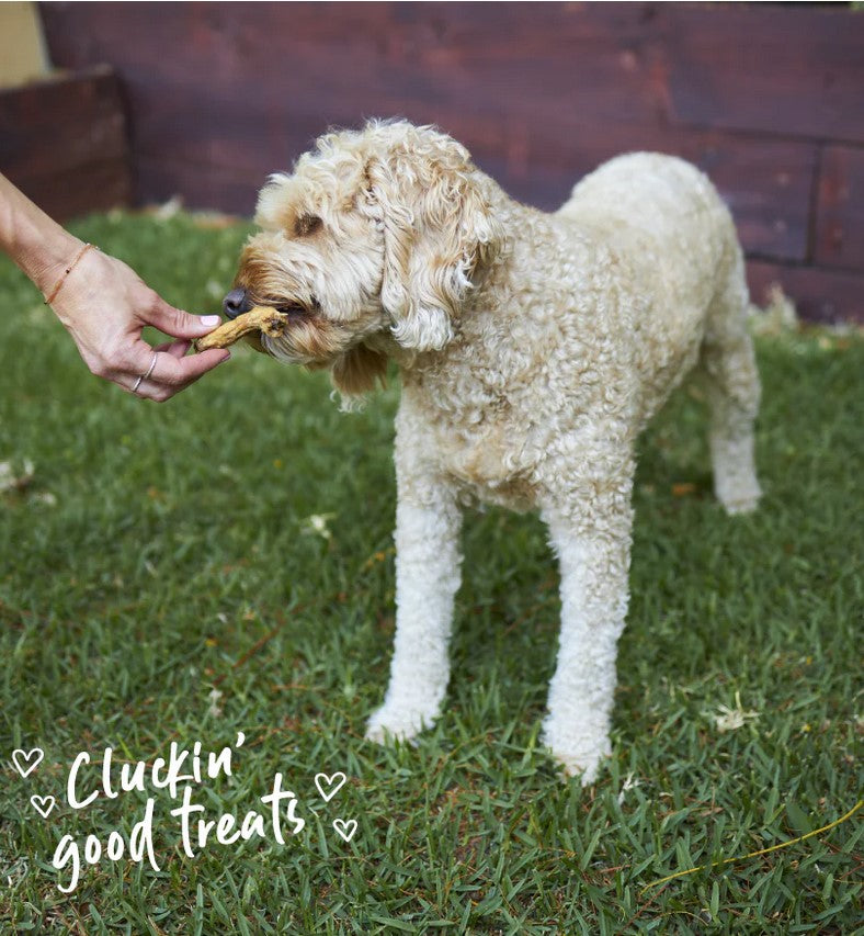 Kazoo Treat Dog Prime Cuts Chicken Necks 500gm
