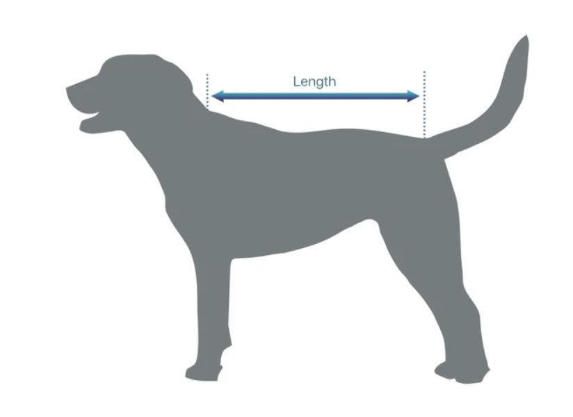 Eurohunter Dog Rug Thredbo [:12"]
