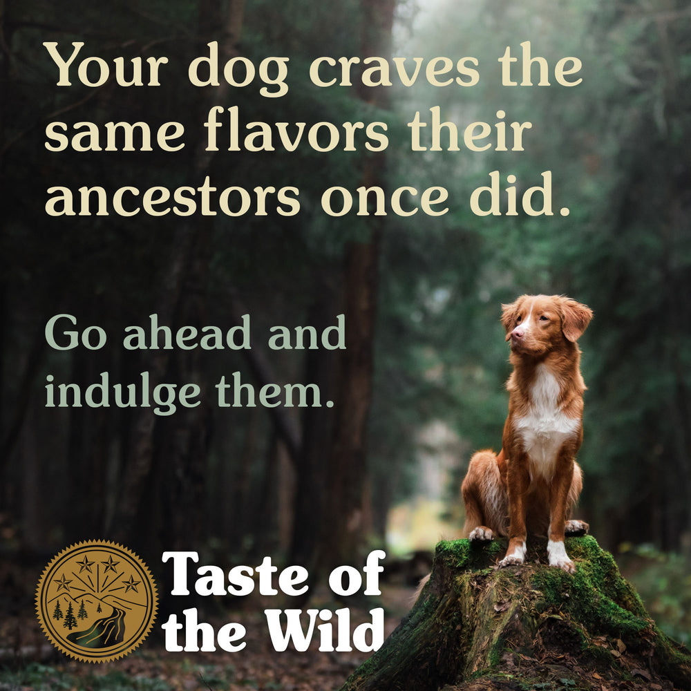 Taste Of The Wild Dog High Prairie Bison & Roasted Venison 2kg