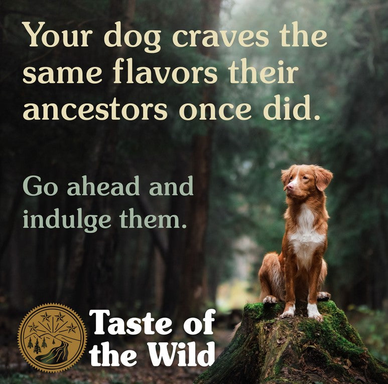 Taste Of The Wild Dog Pacific Stream Smoked Salmon 2kg