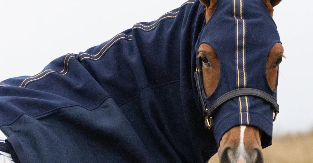 Polar Fleece Hood Earlwood Navy & Gold [:pony]