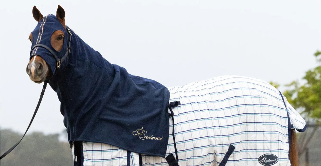 Polar Fleece Hood Earlwood Navy & Gold [:pony]