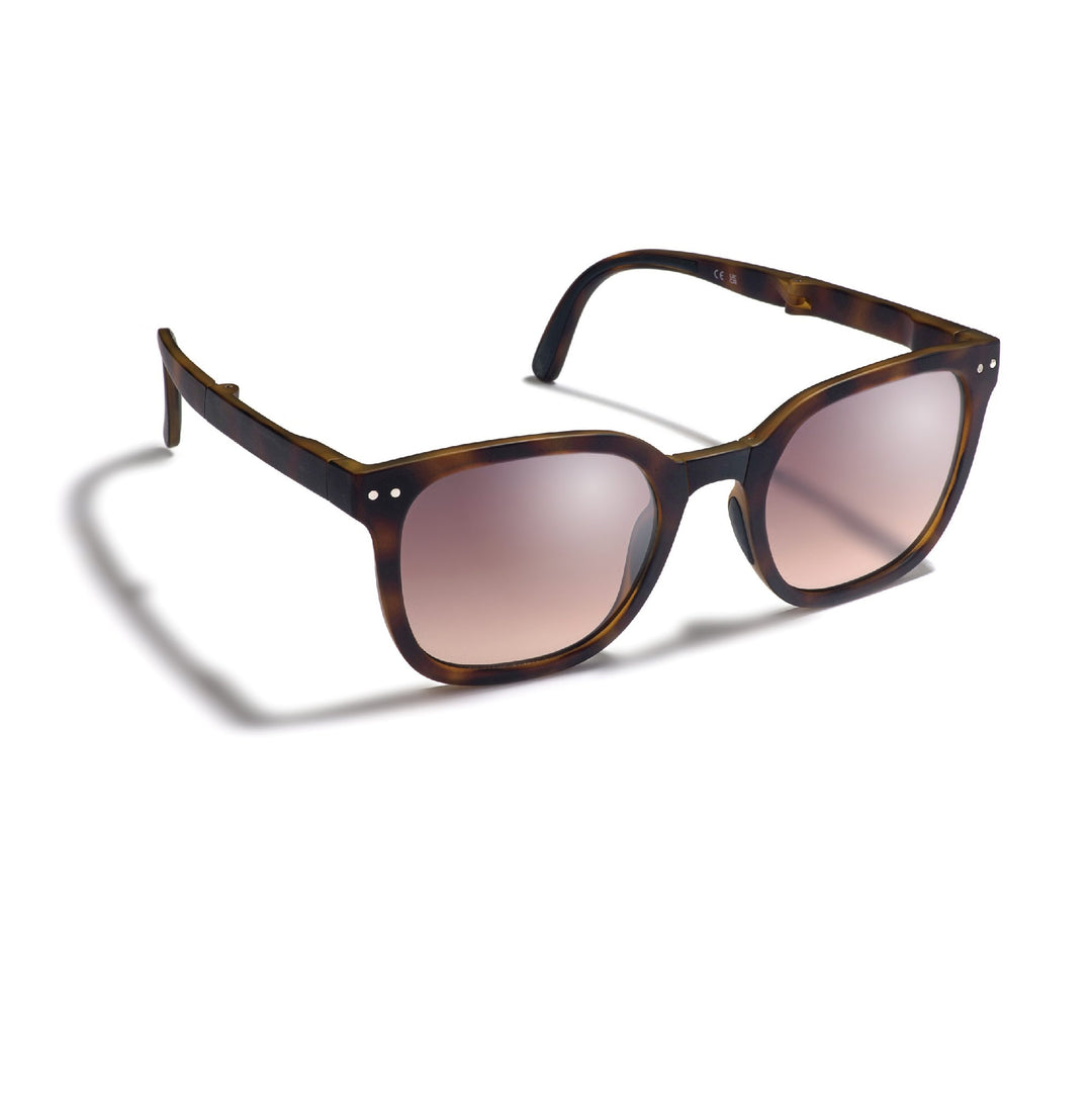 Sunglasses Gidgee Canter Tortoise