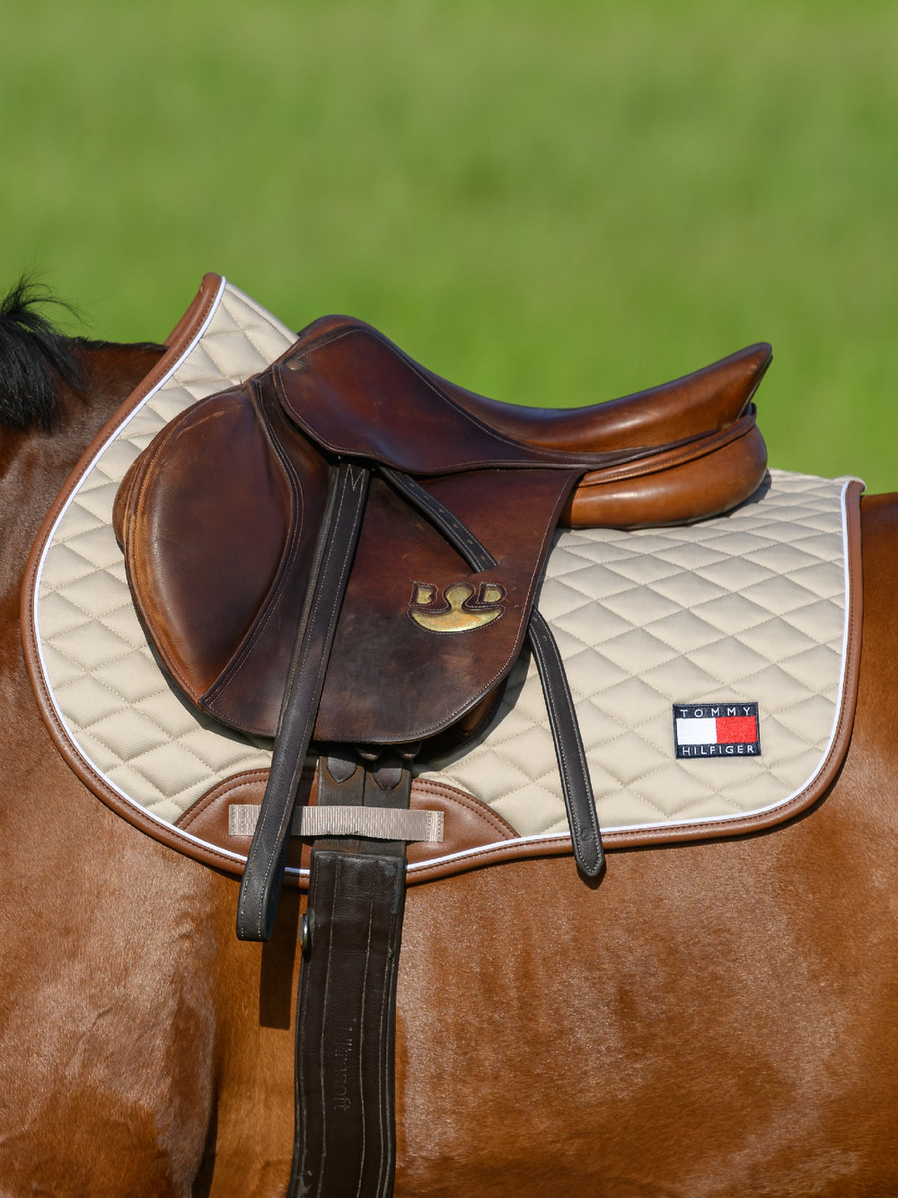 Saddlecloth Jumping Tommy Hilfiger Princeton Beige