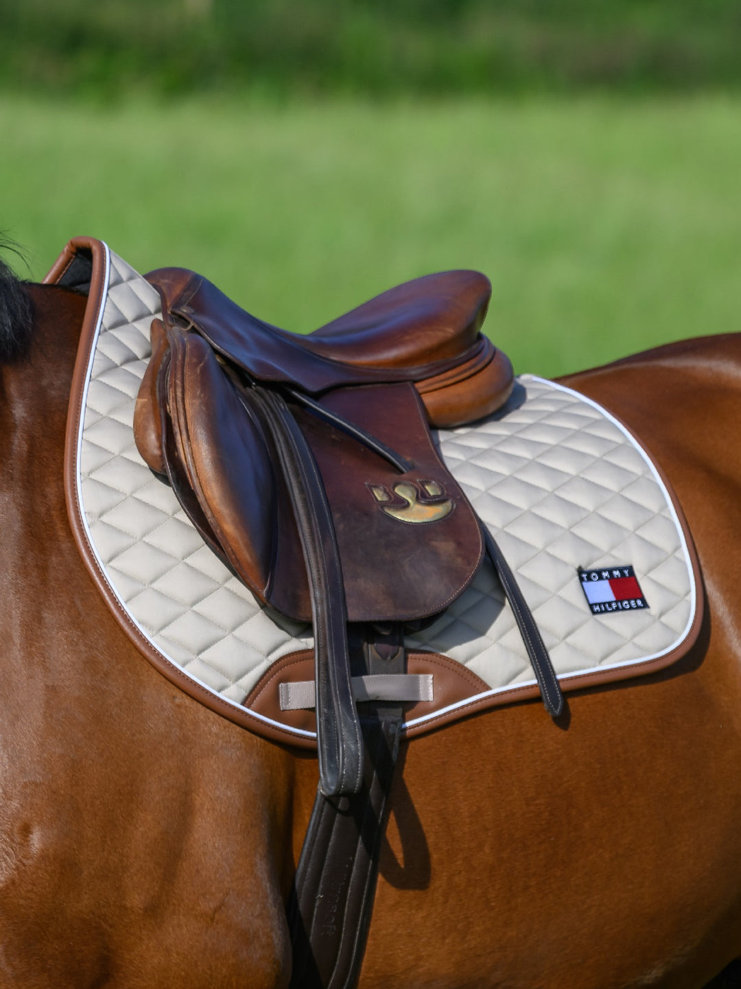 Saddlecloth Jumping Tommy Hilfiger Princeton Beige