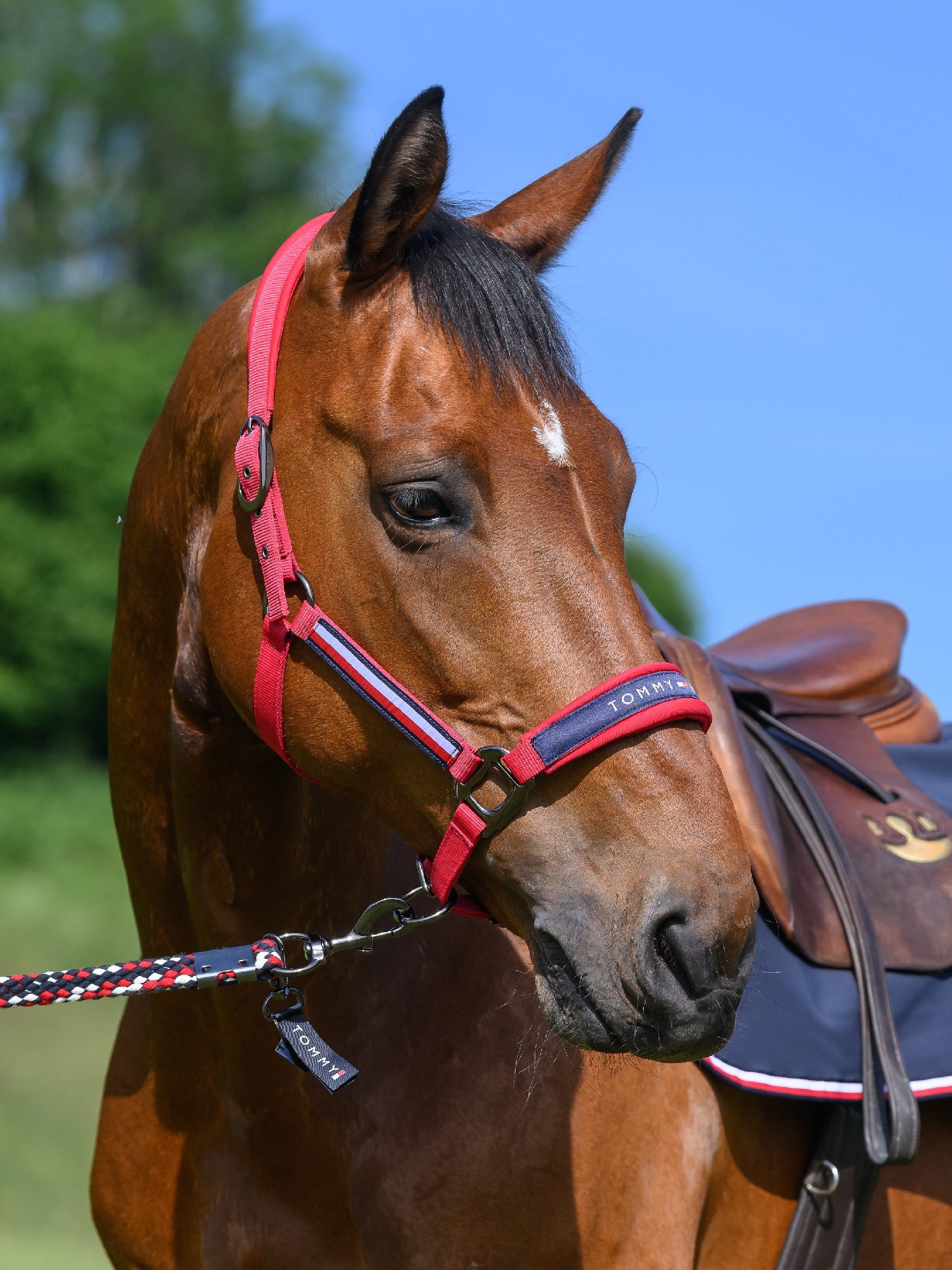 Headstall Tommy Hilfiger Yale With Lead Primary Red [:cob]