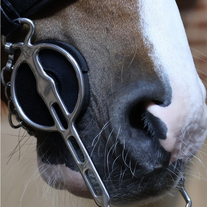 Cheekers Bit Guards Neoprene With Velcro 6mm Black