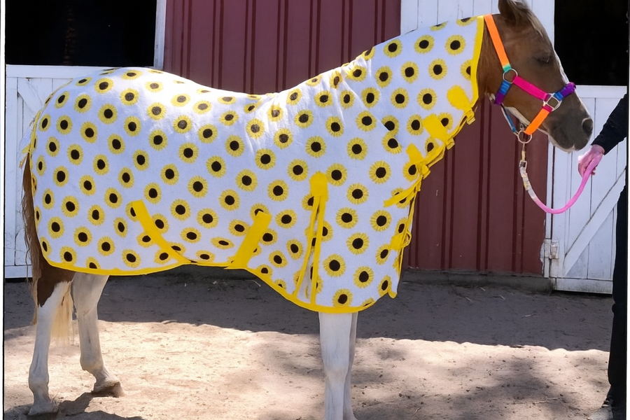 Combo Rug Summer Diamond Rib Weave Sunflower [:4'3"]