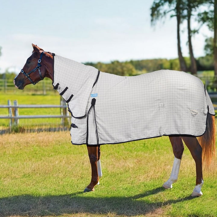 Dakota Lite Combo White & Navy [:4'6"]