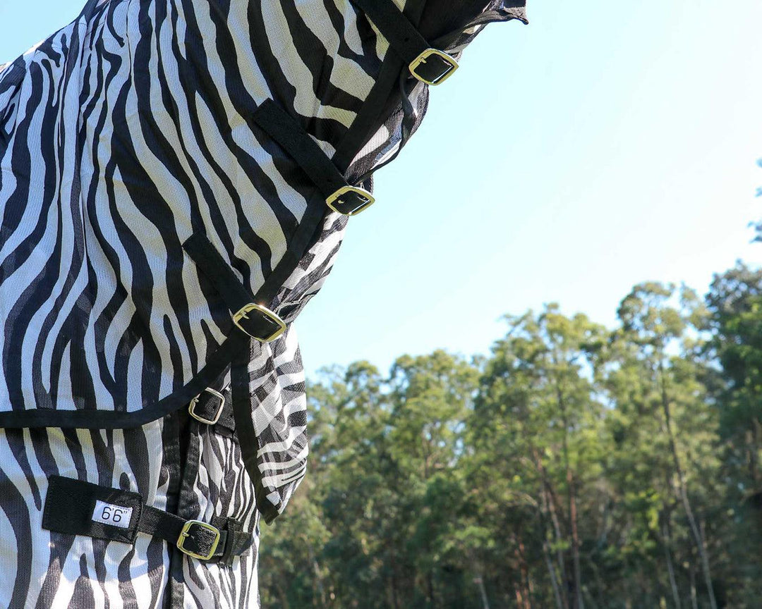 Fly Mesh Combo Zebra Print [:5'6"]
