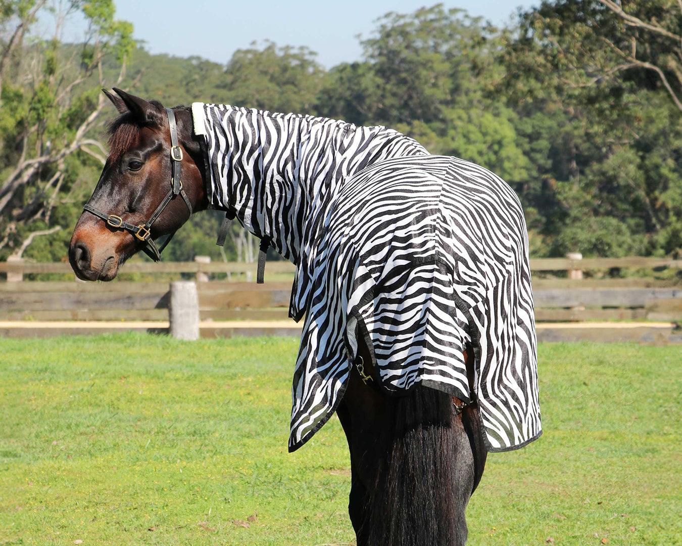 Fly Mesh Combo Zebra Print [:5'6"]