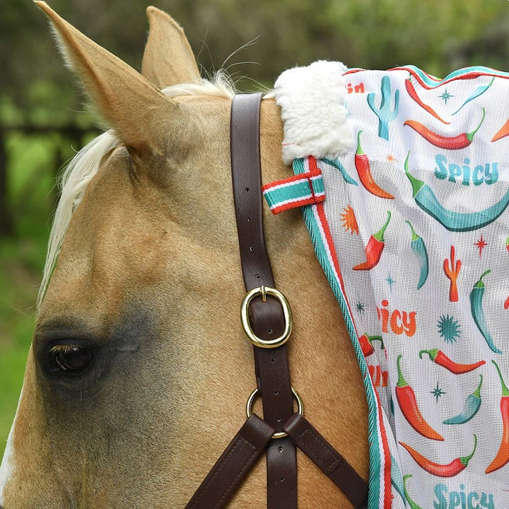 Hot To Trot Fly Mesh Combo With Surcingles [:5'3"]