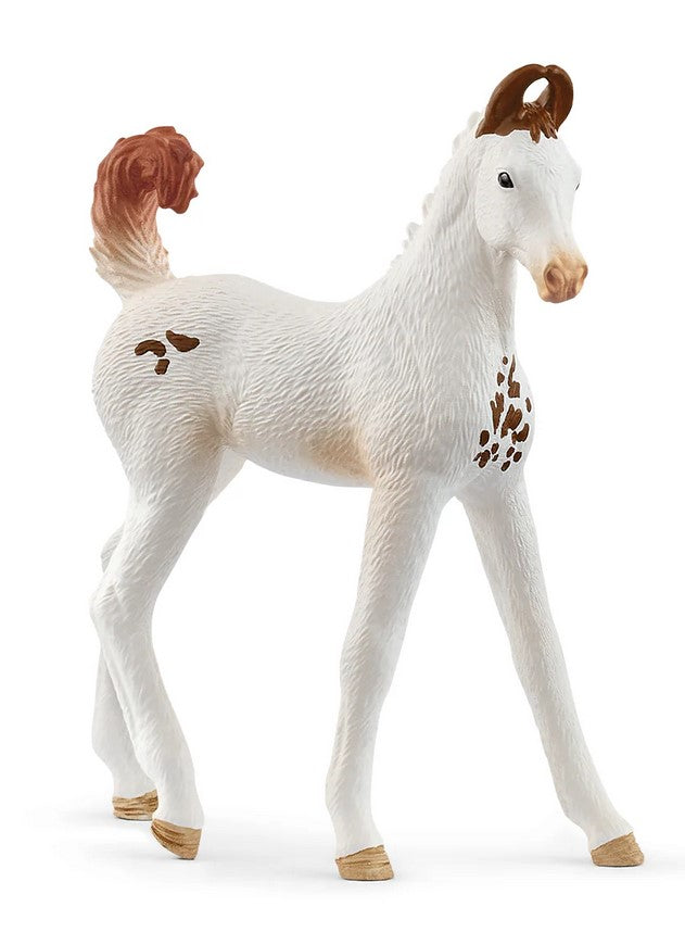 Schleich Horse Marwari Foal