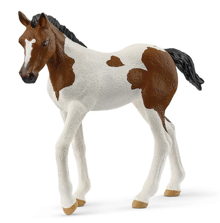 Schleich Horse Paint Horse Foal 2025