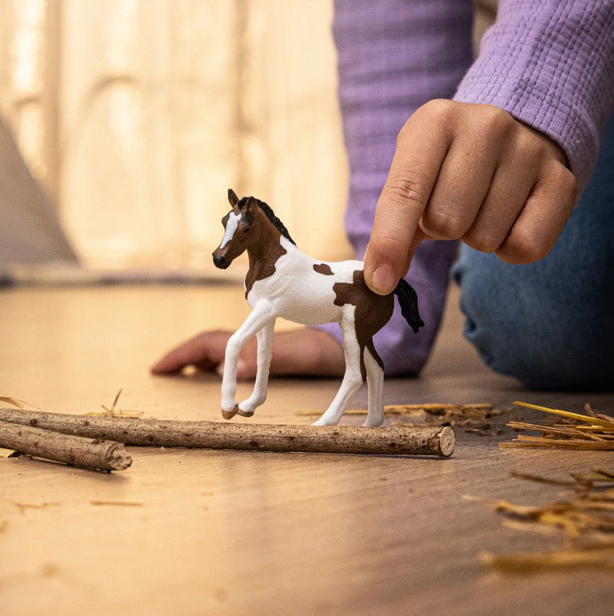 Schleich Horse Paint Horse Foal 2025