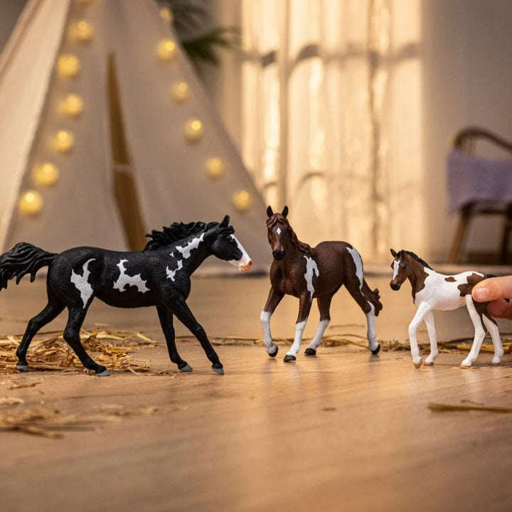 Schleich Horse Paint Horse Foal 2025