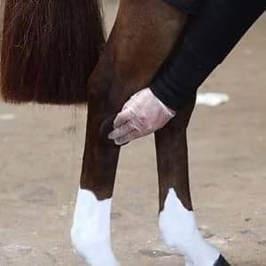 Mp Gloss Define Liquid Chalk Pen Brown 10ml