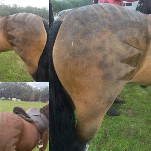 Mp Gloss Quarter Marxx Spray 250ml