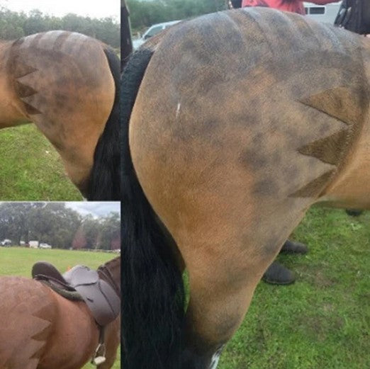 Mp Gloss Sharksteeth Stencil