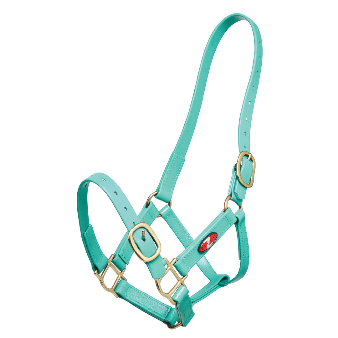 Headstall Plastic 25mm Zilco Full Turquoise