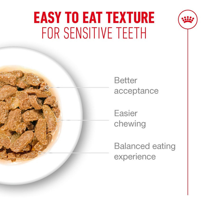 Royal Canin Cat Wet Ageing 11+ Jelly Box Of 12