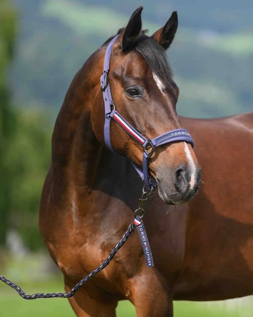 Headstall Tommy Hilfiger Yale With Lead Faded Indigo [:cob]