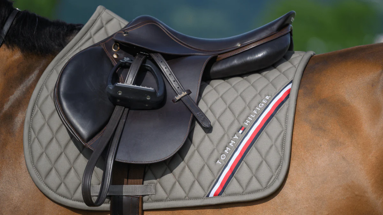Saddlecloth Jumping Tommy Hilfiger Stanford Ash Full