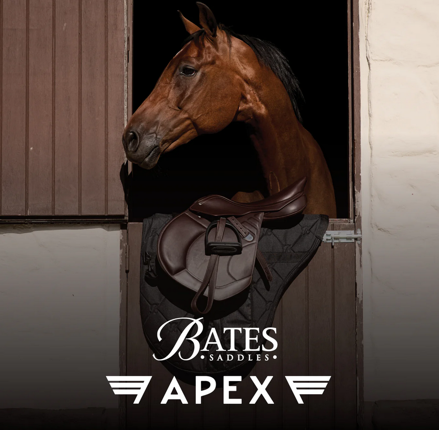Bates Apex Jumping Saddle Cair Classic Brown [:42cm 16.5"]
