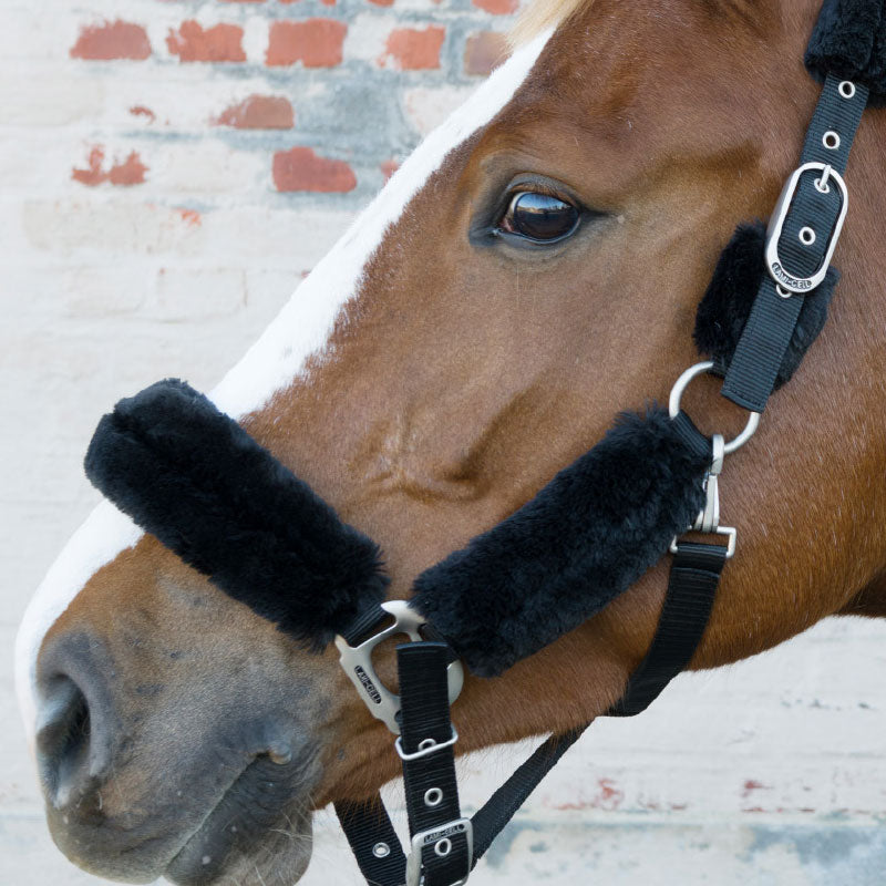 Headstall Lami Cell Comfort Black [:pony]