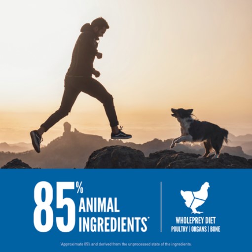 Orijen Dog Original 2kg