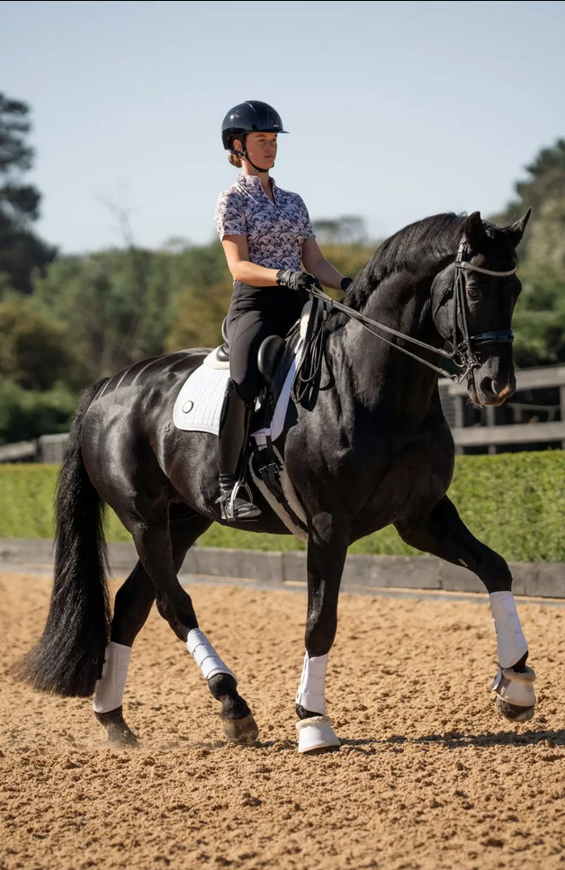Tights Bare Equestrian Flexform Sculpting Riding Black [:xs]