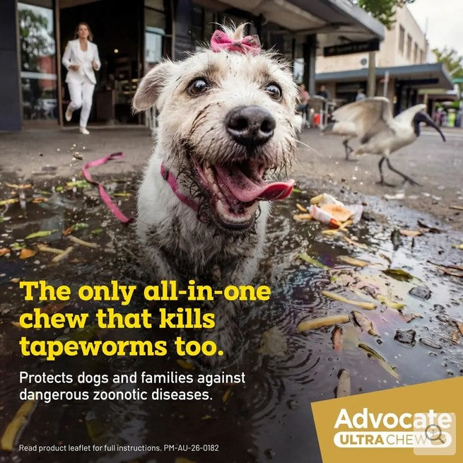 Advocate Dog Ultra Chew 2.0kg-2.8kg Yellow Xs 1 Pack