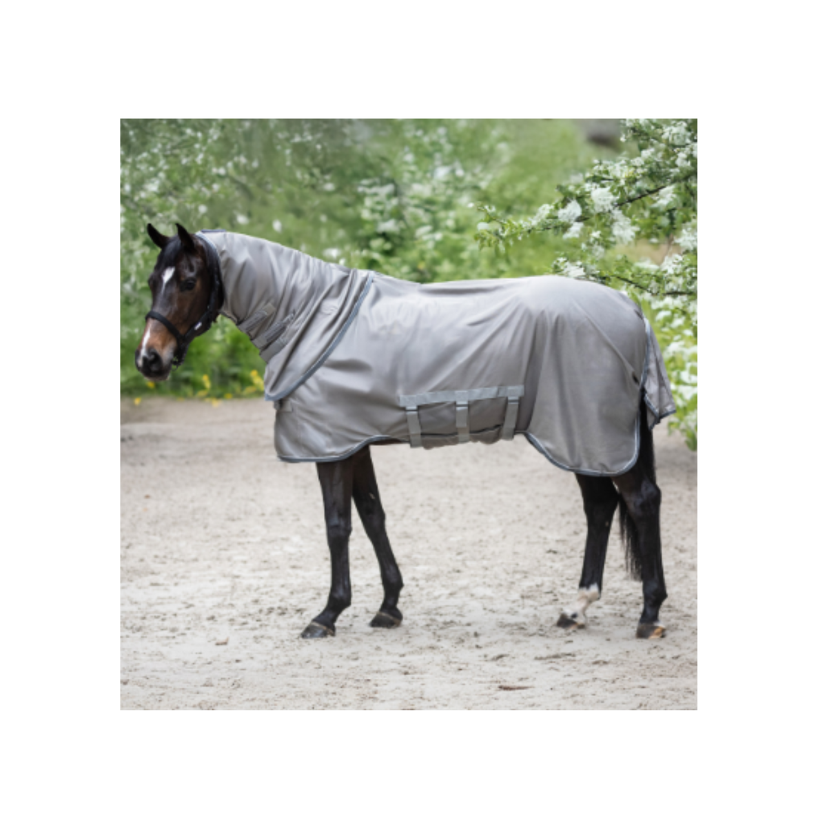 Lami Cell Insect Master Combo Light Grey [:130cm]