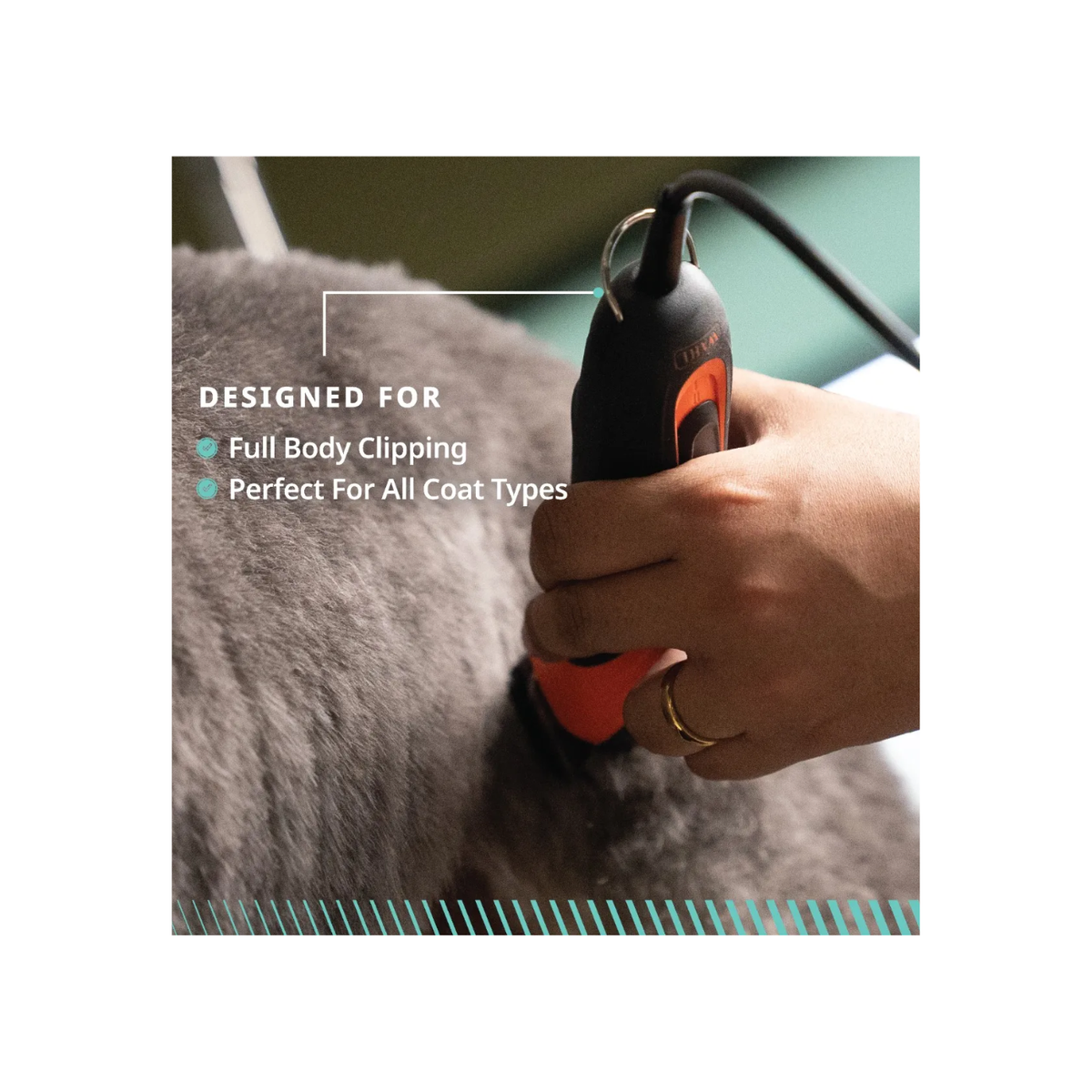Clipper Set Wahl Km Velocity Corded Orange & Black
