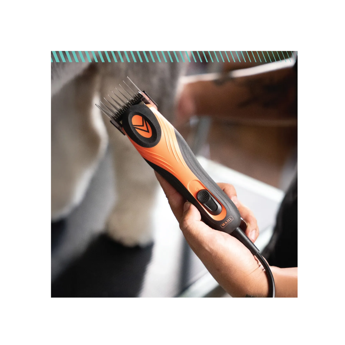 Clipper Set Wahl Km Velocity Corded Orange & Black
