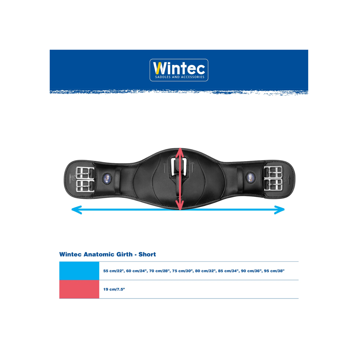 Girth Wintec Anatomic Elastic With Cair Black [:55 Cm]