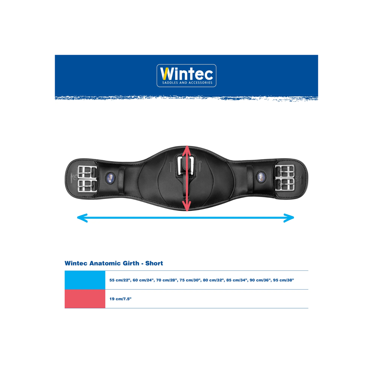 Girth Wintec Anatomic Elastic With Cair Brown [:55 Cm]