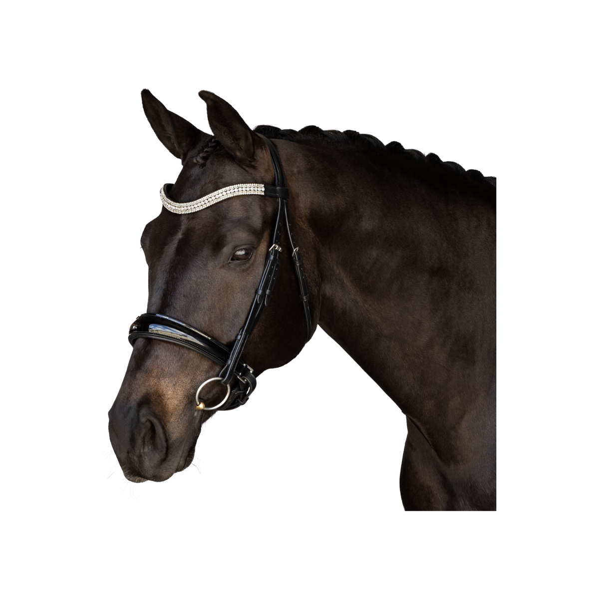 Bridle Flexible Fit Premium Snaffle Explorer No Reins Black [:pony]