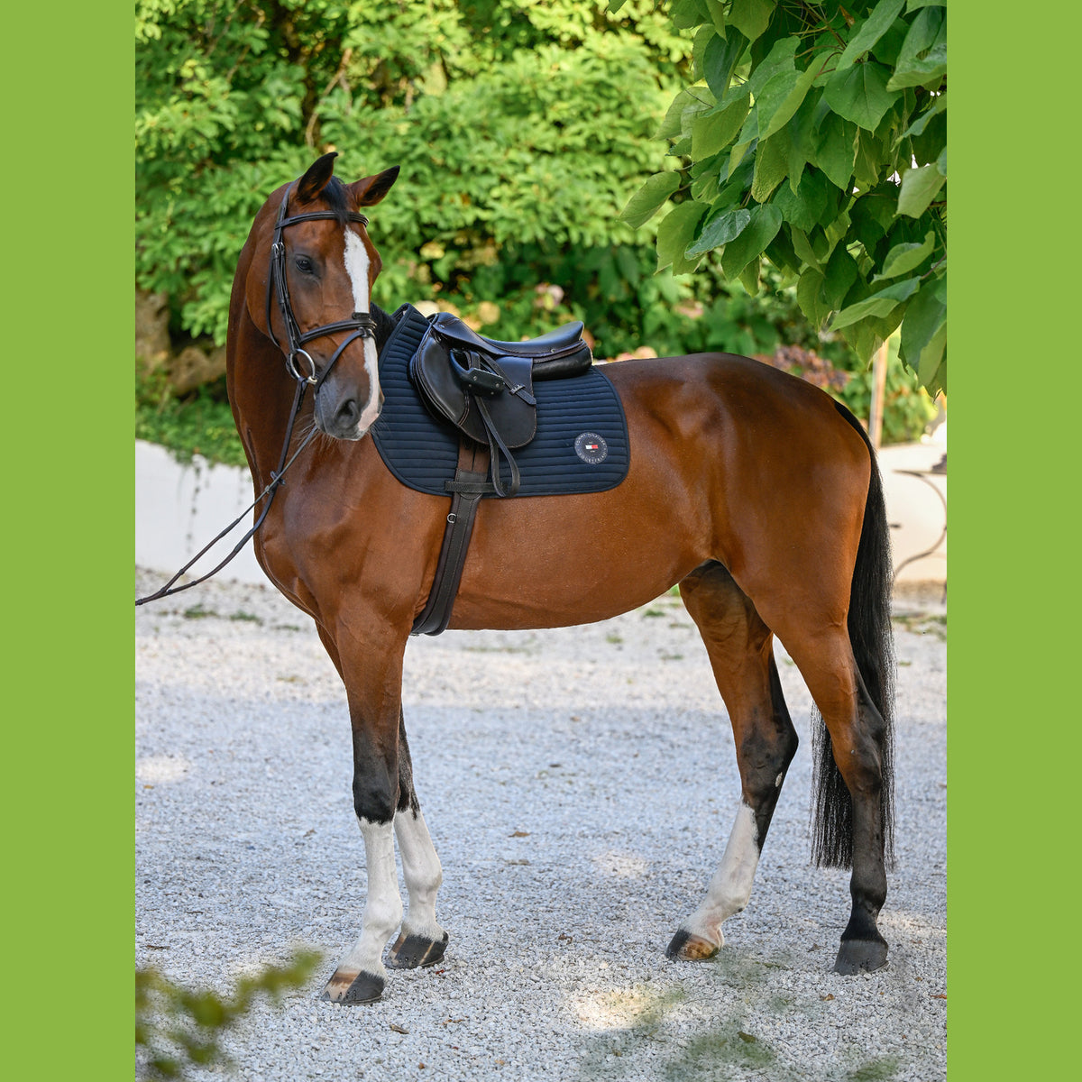 Saddlecloth Dressage Tommy Hilfiger Upstate Desert Sky Full