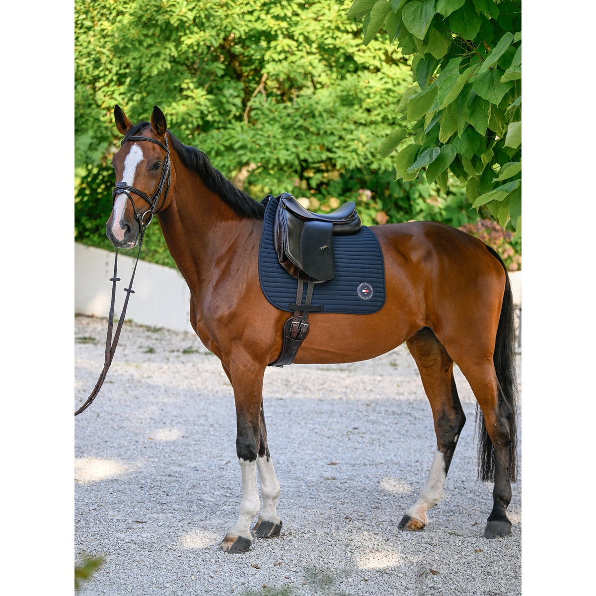 Saddlecloth Dressage Tommy Hilfiger Upstate Desert Sky Full