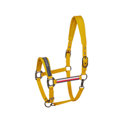 Headstall Tommy Hilfiger Yale With Lead  Mustard [:cob]