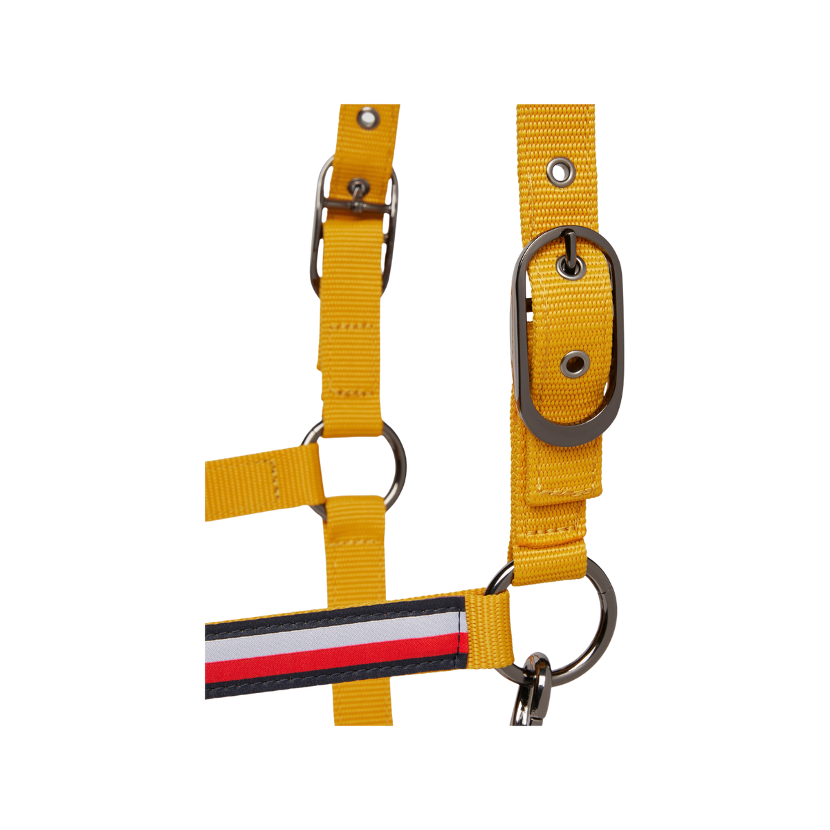 Headstall Tommy Hilfiger Yale With Lead  Mustard [:cob]