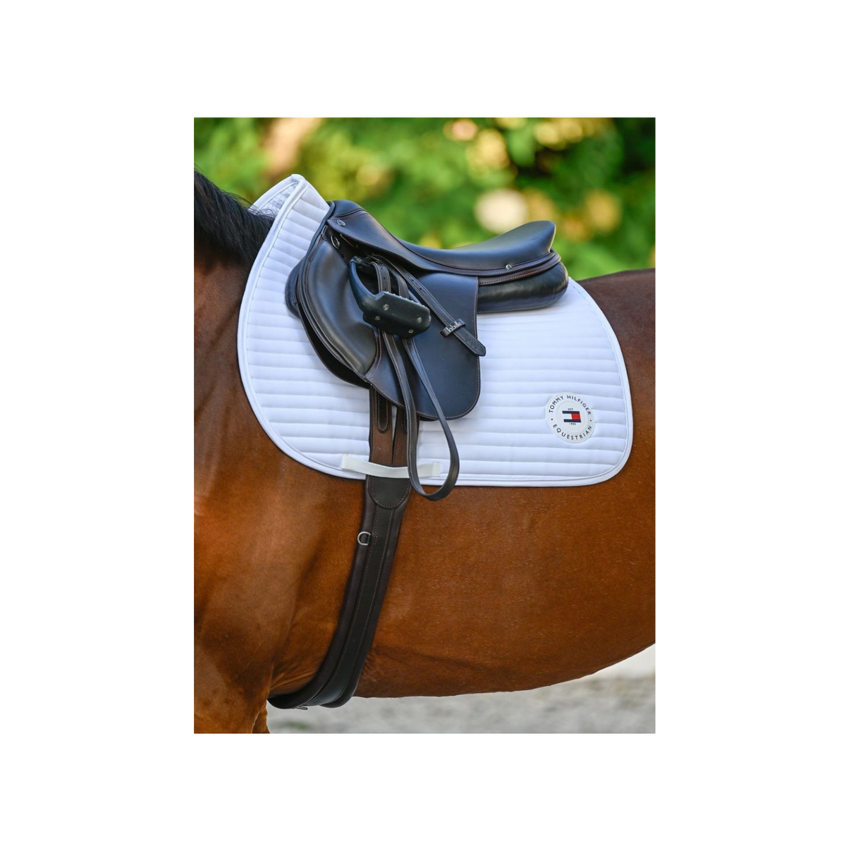 Saddlecloth Jumping Tommy Hilfiger Upstate Optic White Full