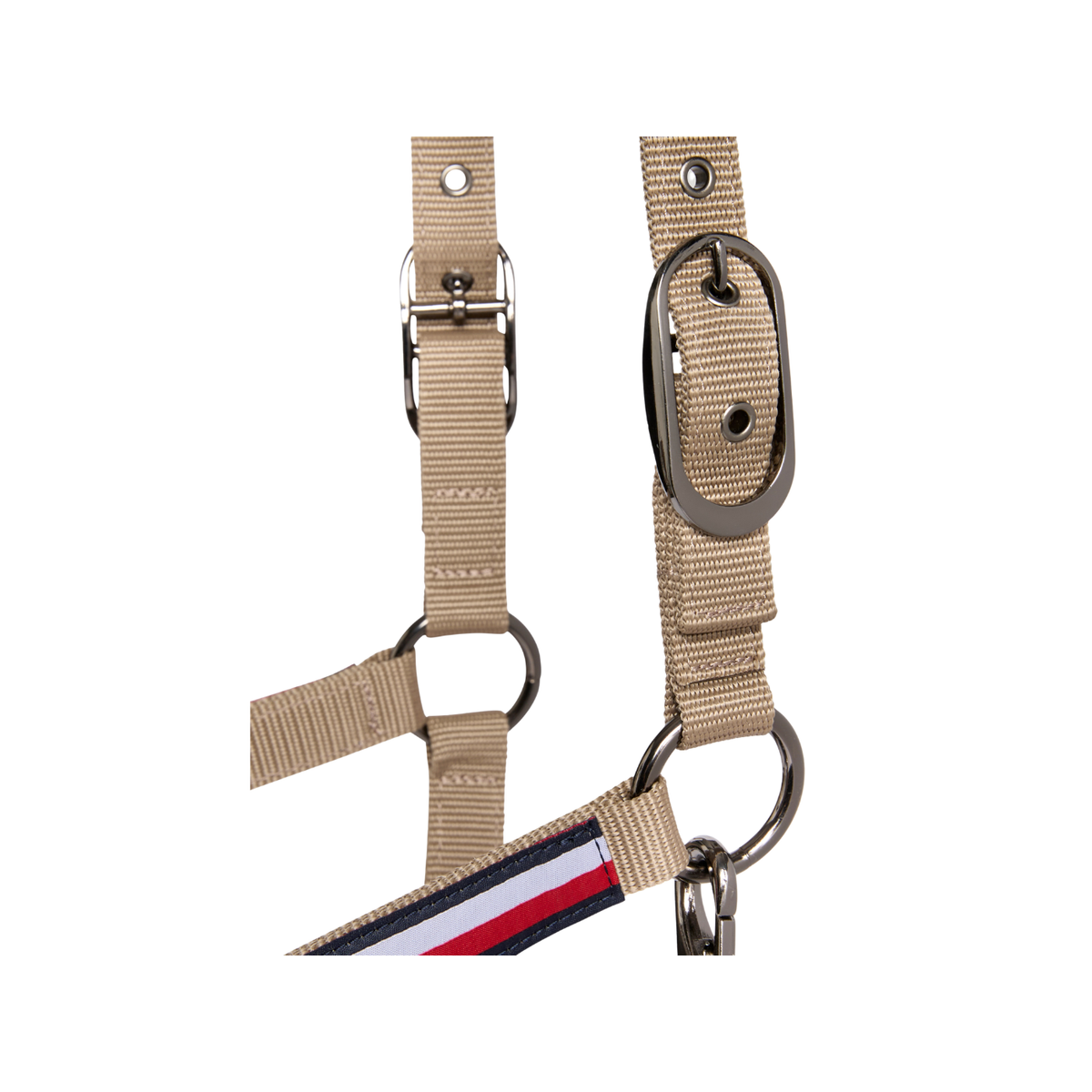 Headstall Tommy Hilfiger Yale With Lead  Taupe [:cob]